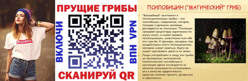 Псилоцибиновые грибы прущие грибы  Гудермес 